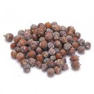 Cedar Berries Whole Wildcrafted by Starwest