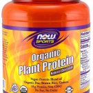 Organic Plant Protein Powder Chocolate Now Foods 2 lb Powder