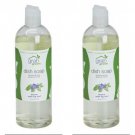 Grab Green Liquid Dish Soap Thyme with Fig Leaf 16 Ounce (Pack of 2)