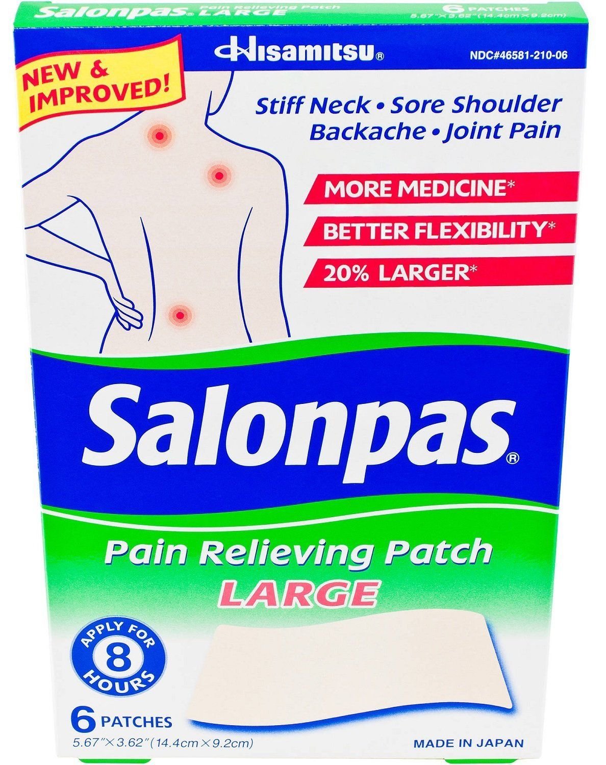 Salonpas Pain Relief Patch Large 6 ct (2 Pack)