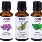 3-Pack Variety of NOW Essential Oils: Tea Tree Eucalyptus Lavender Top 3 Oils