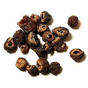 Organic Soapnut Shells Starwest