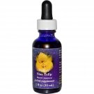 Yellow Star Tulip Dropper 1 Ounces