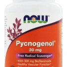 NOW Foods Pycnogenol Free Radical Scavenger w/ 300mg Bioflavonoids 30mg - 30Caps