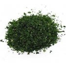 Starwest Chervil Leaf C / S 1 LB