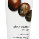 Shea Butter Lotion 4 fl. oz By Now Foods