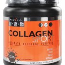 NEOCELL - Collagen Sport Ultimate Recovery Complex Belgian Chocolate - 1.49 lbs