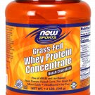 Whey Protein Concentrate, Grass-Fed Dutch Chocolate Powder