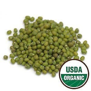 Organic Mung Bean Sprouting Seeds 1 LB