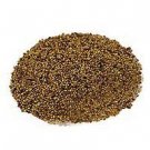 STARWEST RED CLOVER SEED ORGANIC 1 LB