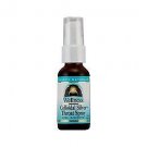 Source Naturals Wellness Colloidal Silver Throat Spray 30 Ppm 1 Fl.oz Pack of 2