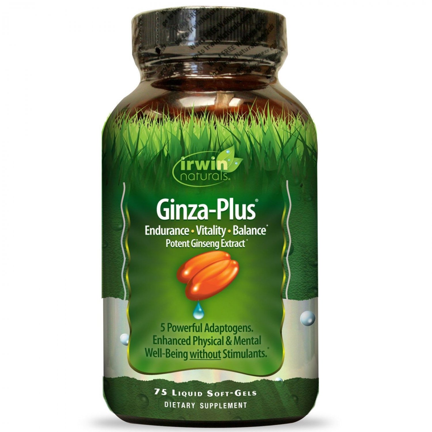 Irwin Naturals - Ginza-Plus - 75 Softgels