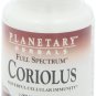 Planetary Herbals Fs Coriolus Versicolor Extract 1000 mg 30 Count