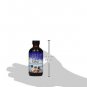 Planetary Herbals Calm Child Herbal Syrup 4 Fluid Ounce 4 oz