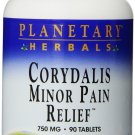 Planetary Herbals Minor Pain Relief Tablets 750 mg 90 Count