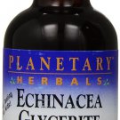 Planetary Herbals Echinacea Glycerite Mineral Supplement Lemongrass 2 Fluid O...