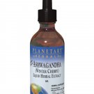 Planetary Herbals Ashwagandha Liquid Herbal Extract Lemon Flavor 2 fl oz 59 1...