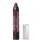Burt's Bees Natural Moisturizing Gloss Lip Crayon 432 Bordeaux Vines