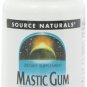 SOURCE NATURALS Mastic Gum Extract 500mg 30 capsule
