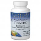 PLANETARY HERBALS Full Spectrum™ Turmeric Extract 450 mg - 30 tabs