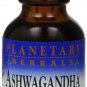 Planetary Herbals Ashwaganda Herbal Extract Liquid Lemon 1 Fluid Ounce