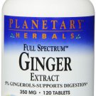 Planetary Herbals Full Spectrum Ginger Extract Tablets 120 Count