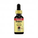 Burdock Root 1 OZ