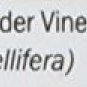 Smart Organics Apple Cider Vinager & Honey 125 gm