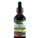Nature's Answer Elecampane Root with Low Alcohol 2-Fluid Ounces