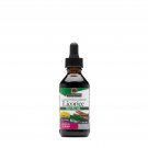 Nature's Answer - Licorice Root 2000 mg 2 fl oz liquid [Health and Beauty]