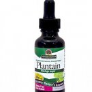 Nature's Answer Plantain Leaf with Organic Alcohol