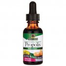 Nature's Answer Propolis Resin with Organic Alcohol 1-Fluid Ounce