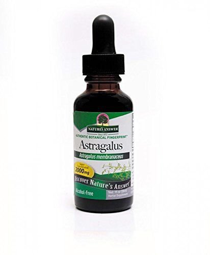 Nature's Answer Alcohol-Free Astragalus Root 1-Fluid Ounce