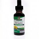 Nature's Answer Alcohol-Free Astragalus Root 1-Fluid Ounce