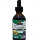 Natures Answer Blueberry 1000mg