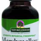 Nature's Answer Alcohol-Free Marshmallow Root 1-Fluid Ounce