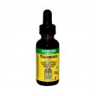 Natures Answer Yellow Dock Root