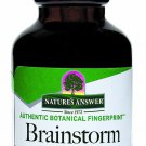 Nature's Answer Alcohol-Free Brainstorm 1-Fluid Ounce