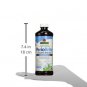 Nature's Answer PerioBrite Alcohol-Free Mouthwash Wintermint 16-Fluid Ounce