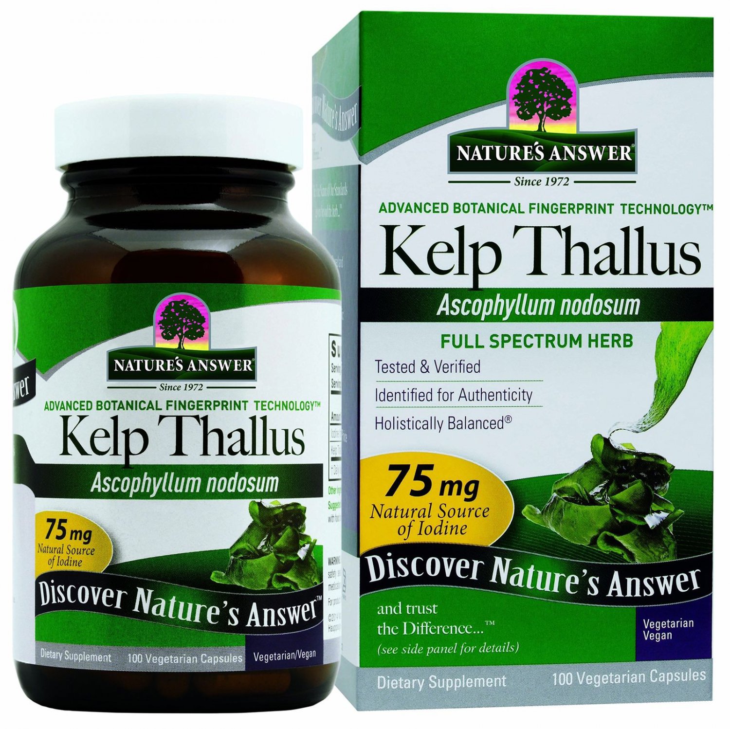 Nature's Answer Kelp Thallus 100-Count