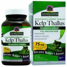 Nature's Answer Kelp Thallus 100-Count