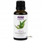 Now Foods Eucalyptus Oil (1 oz) Pack of 2