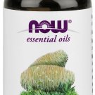 NOW Atlas Cedar Oil 1-Ounce (Pack of 2)