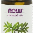 NOW Camphor Oil 1-Ounce (Pack of 2)