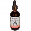 Blood Stream Formula (Replaces Red Clover Combination Extract) - 2 oz - Liquid