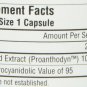 SOURCE NATURALS Grape Seed Extract Proanthodyn 100 Mg Capsule 120 Count