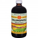 Bernard Jensen Chlorophyll Mint 16 Fluid Ounce Natural