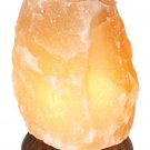 Salt Lamp Small 8 inch Aloha Bay 1 Lamp