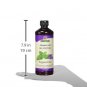 Nature's Answer Essential Oil Shampoo Peppermint 16-Ounce