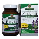 Nature's Answer Forskohlii 60-Count